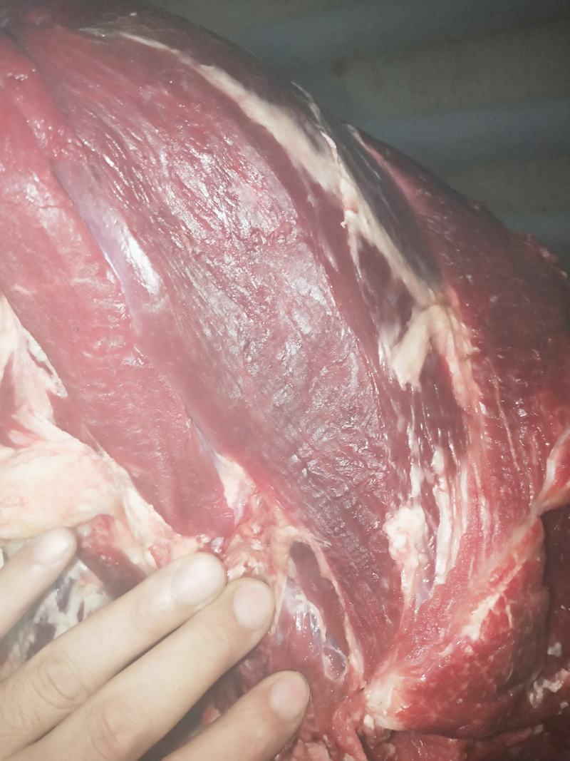 纯干鲜牛肉每天鲜宰一手货源