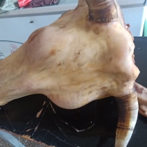 火烧牛羊头蹄，草地资源，，，，，，，，，
