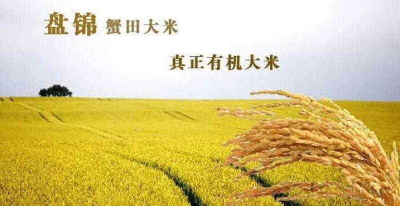 【精品】蟹田新米优质米保证质量量大从优