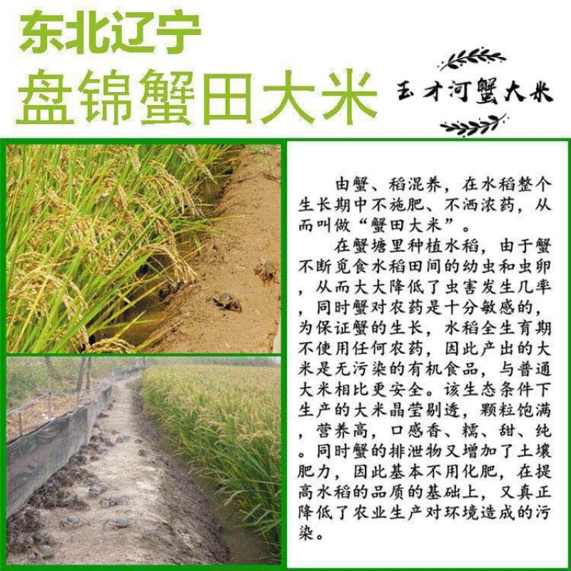 【精品】蟹田新米优质米保证质量量大从优