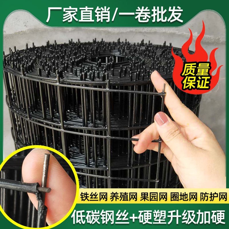 硬塑铁丝网围栏养鸡网养殖网鱼塘铁网栅栏钢丝网果园隔离网防