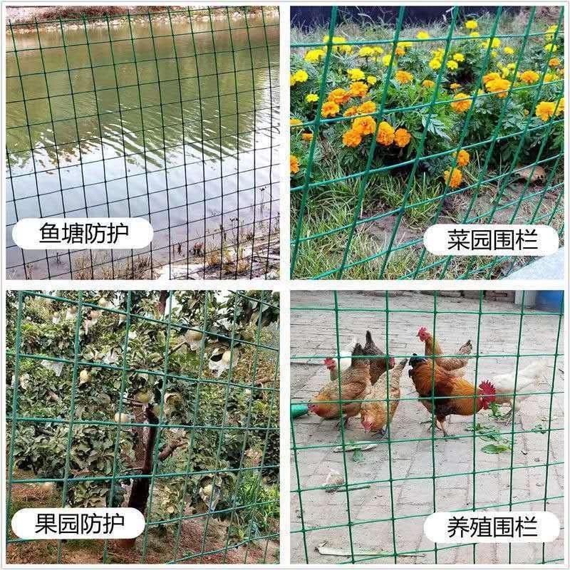 硬塑铁丝网围栏养鸡网养殖网鱼塘铁网栅栏钢丝网果园隔离网防