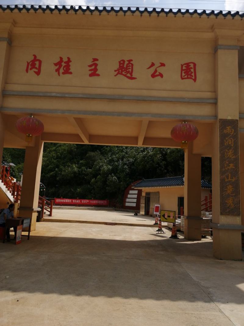 广东罗定肉桂之乡桂皮