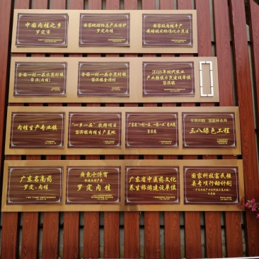 广东罗定肉桂之乡桂皮