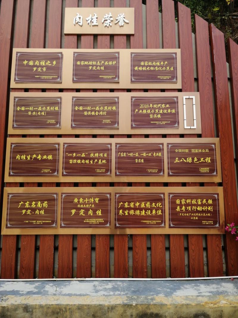 广东罗定肉桂之乡桂皮