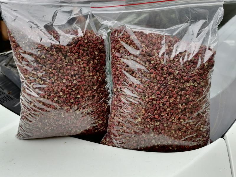 陕西富平狮子头大红袍花椒颗粒状人工挑拣无杂质大量现货