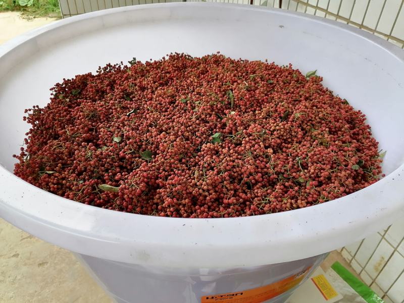 陕西大红袍花椒(包邮，实拍)货真价实，大量现货供应