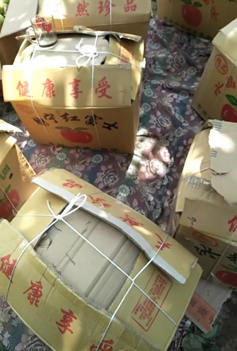 甘肃临夏巴梨红巴梨产地甘肃巴梨批发临夏河滩巴梨