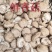 精品鲜香菇~人民生活必须品