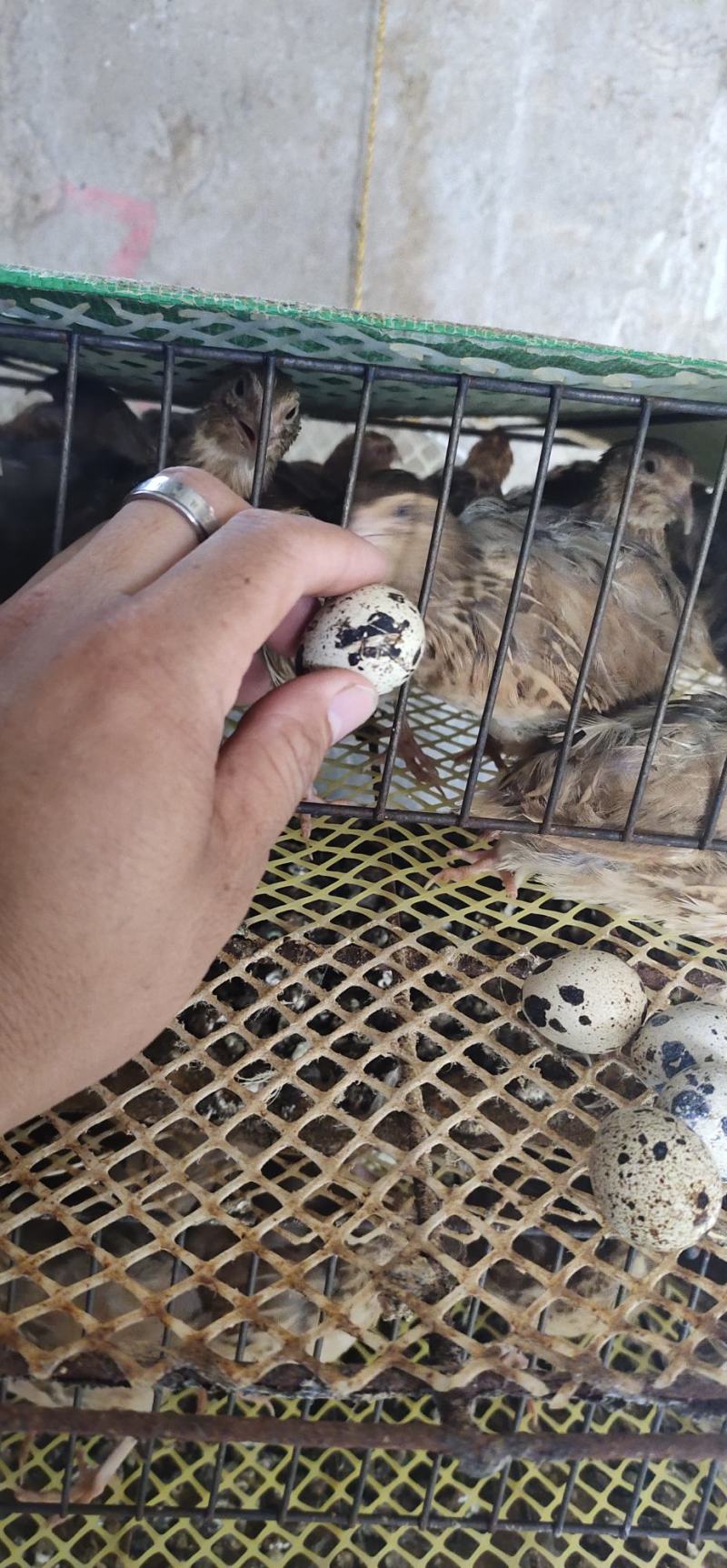 欢迎新老顾客光临选购