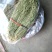 百蕊草，，麦黄草，沮草，，，野生干货，保证质量，长期有货