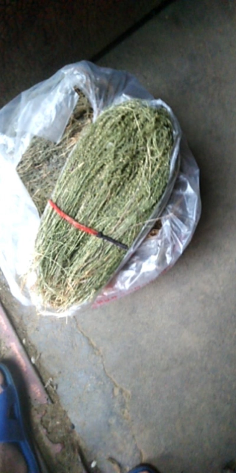 百蕊草，，麦黄草，沮草，，，野生干货，保证质量，长期有货