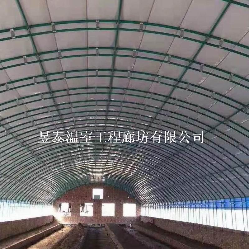 养殖棚养猪羊牛鸡大棚昱泰温室设计生产安装