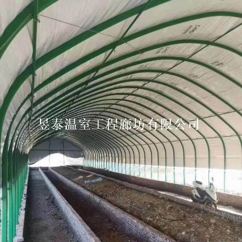 养殖棚养猪羊牛鸡大棚昱泰温室设计生产安装