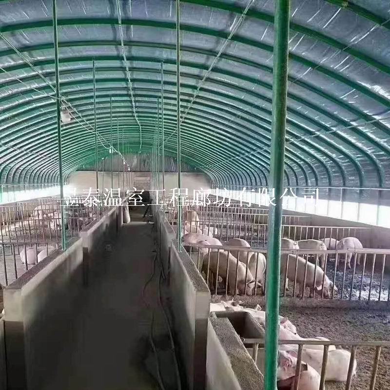 养殖棚养猪羊牛鸡大棚昱泰温室设计生产安装