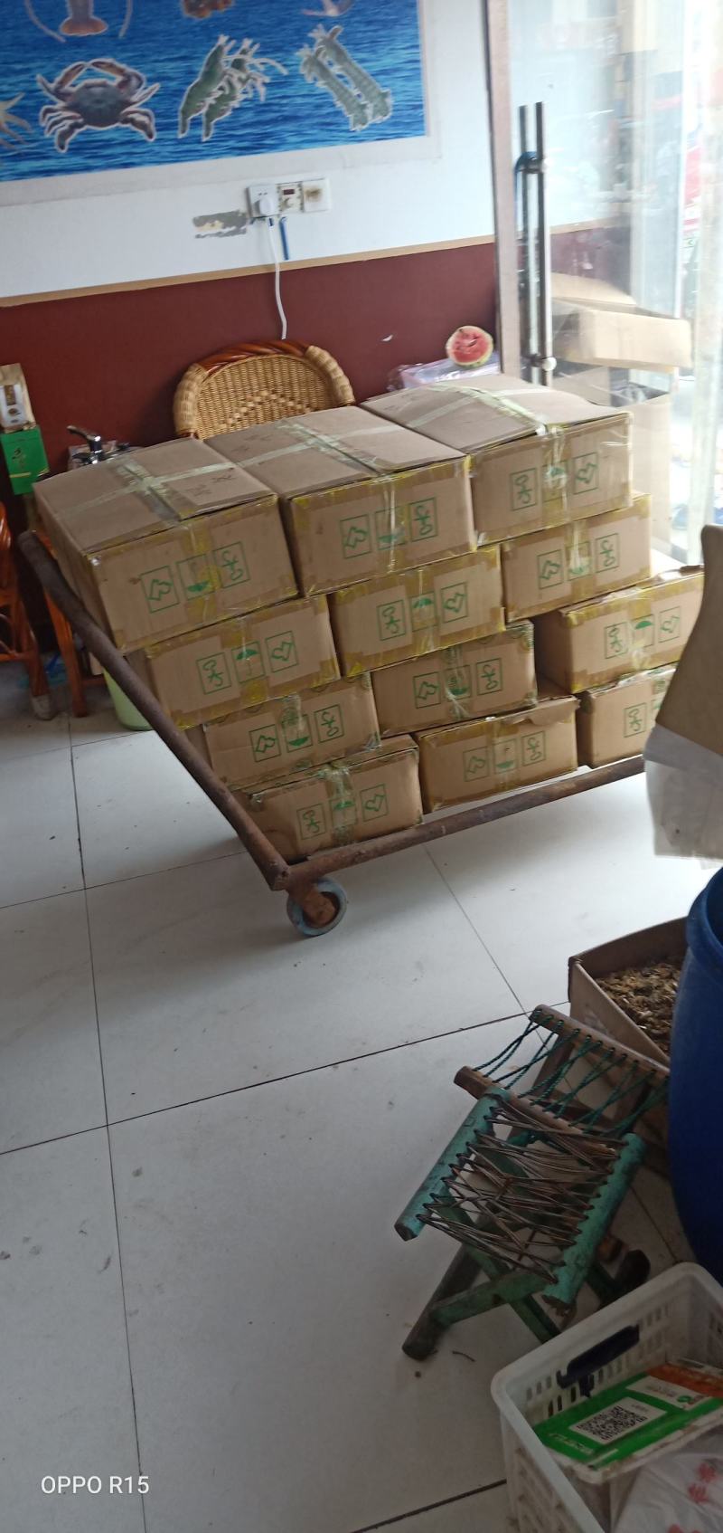 精品短腿小八爪鱼章鱼墨鱼熟冻鲜货特级电商团购专用货渤海产