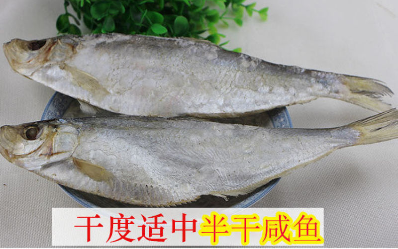 白鳞鱼，自家渔船的，很新鲜！自带油性的一款鱼，很好吃