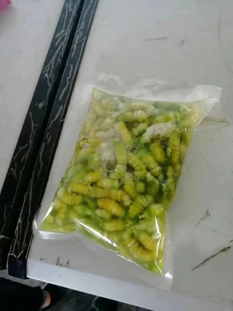 豆虫新鲜当季豆丹上市