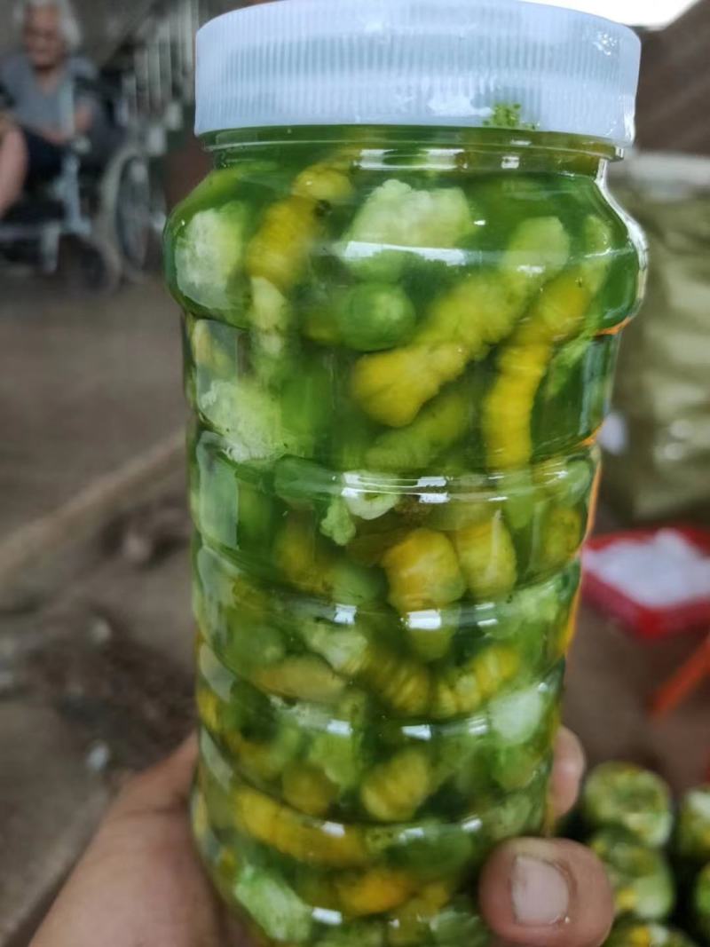 豆虫新鲜当季豆丹上市