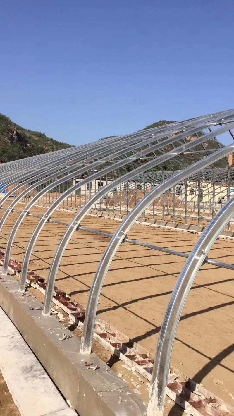 天津花卉大棚养殖大棚种植大棚专业生产规格齐全