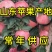 红将军【红星苹果】大量上市产地直销颜色全红价格便宜