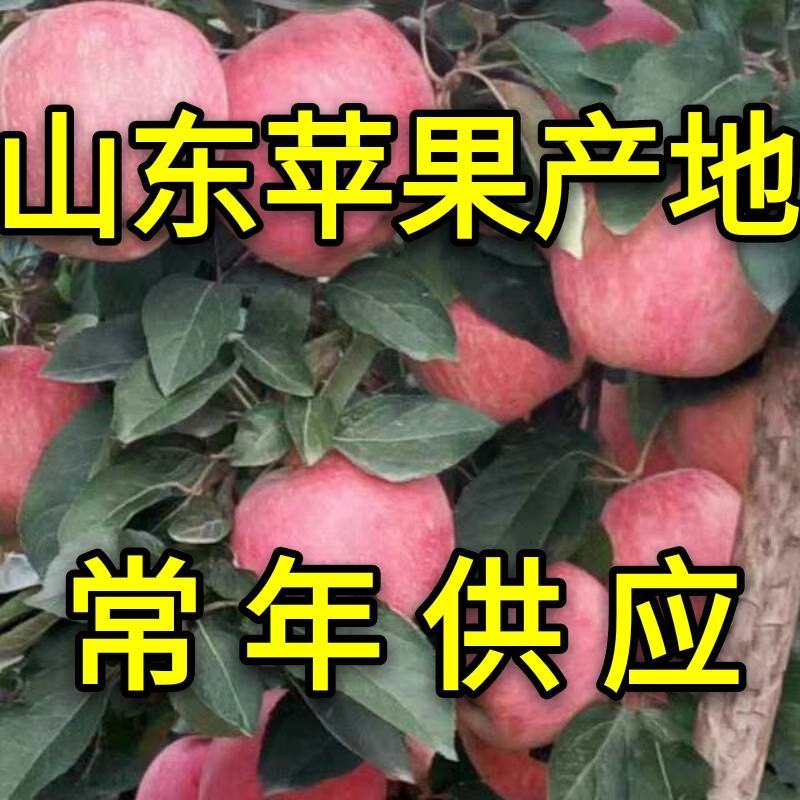 红将军【红星苹果】大量上市产地直销颜色全红价格便宜