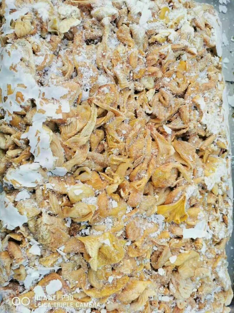 嗉皮，鸡副，鸡产品，鸡分割品，冻冻鸡肉原材料适合加工厂，