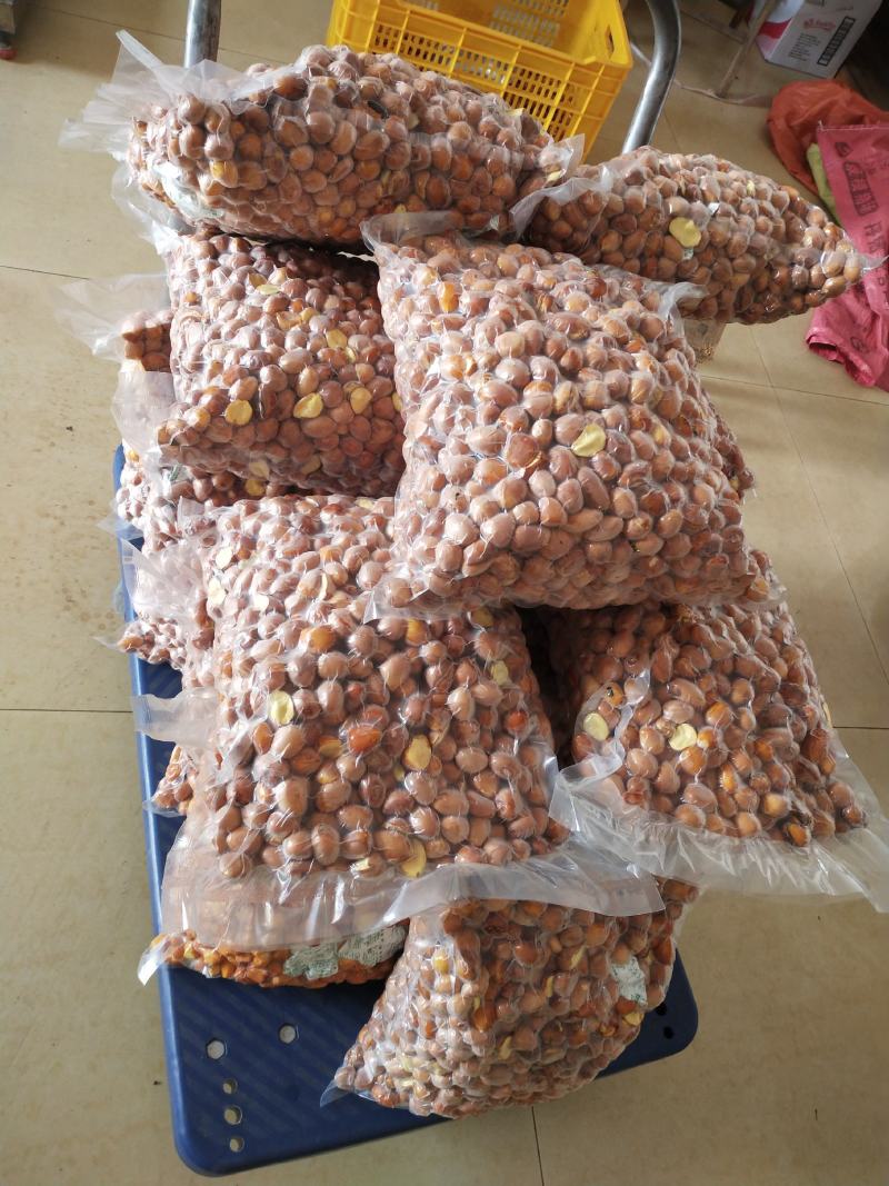 六旺子凤眼果萍婆果剥壳纯果肉真空包装批发