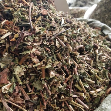 黄花败酱草臭败酱草新货。。。。。。