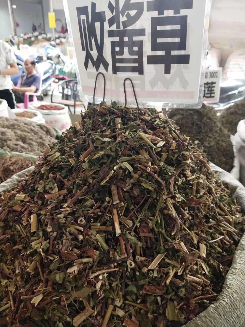 黄花败酱草臭败酱草新货。。。。。。