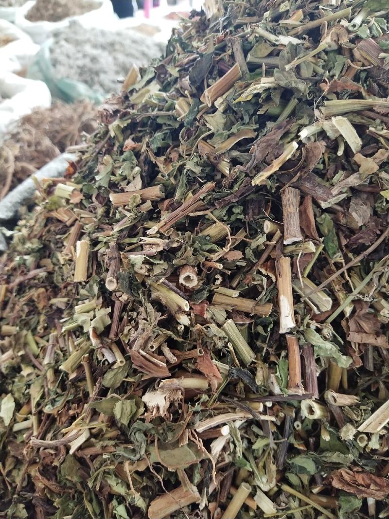黄花败酱草臭败酱草新货。。。。。。