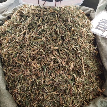 瞿麦一斤起售，量大优惠2020年新货，颜色漂