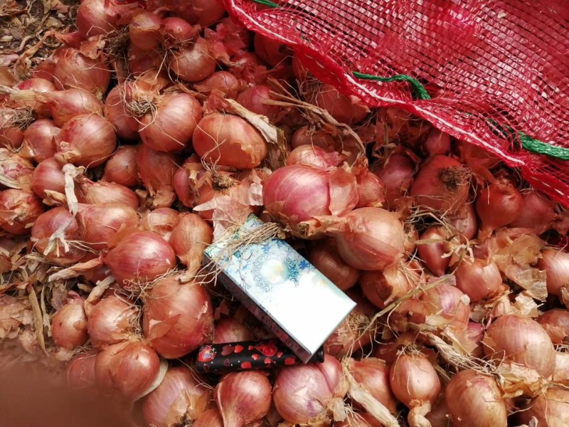 齐齐哈尔圆葱大量上市，