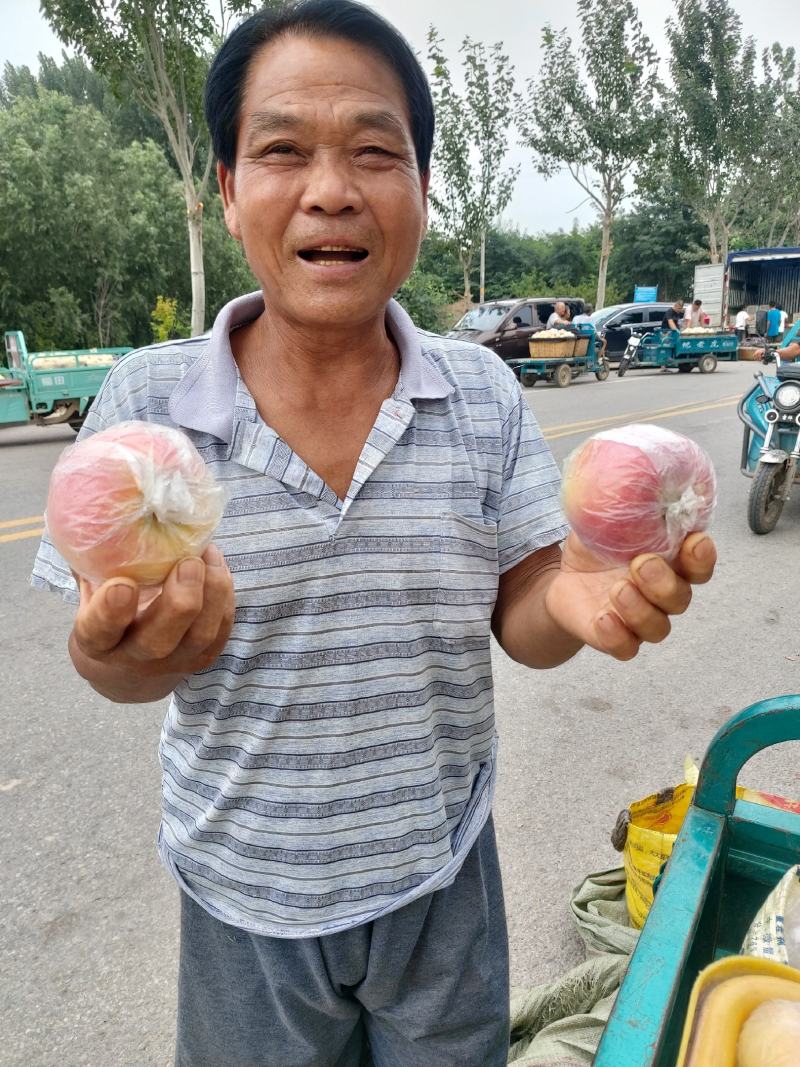 山东潍坊美八苹果，大量有货，提供各种包装，支持打款发货
