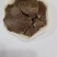 【有好货】胡麻饼，油性大养殖饲料适合牛羊驴马养殖神器