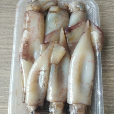 精品小鱿鱼净重450克一盒