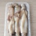 精品小鱿鱼净重450克一盒