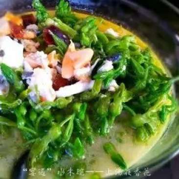 夜香花广西特色美味香花