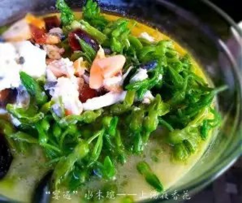 夜香花广西特色美味香花