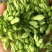 夜香花广西特色美味香花