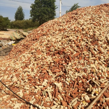 原产地直销8-10月份大量供应玉米芯，欢迎新老客户考查