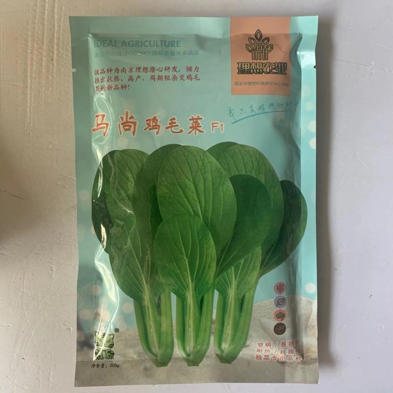 马尚鸡毛菜杂交耐热型抗病强大自然种业