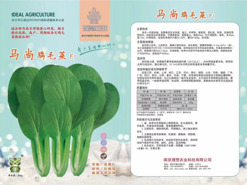 马尚鸡毛菜杂交耐热型抗病强大自然种业