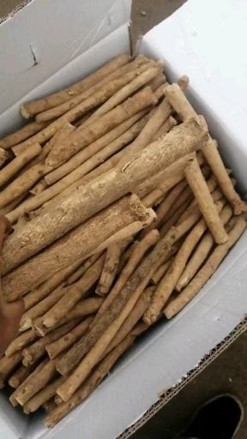 黄芪岷县黄芪节产地直销一手货源品质保障价优