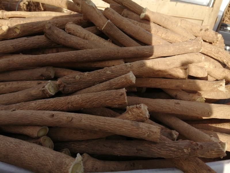 黄芪岷县黄芪节产地直销一手货源品质保障价优