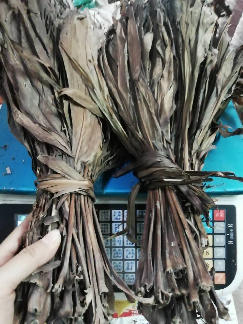 中药材红铁树叶/朱蕉叶/铁树叶/朱竹叶/苏铁叶/红叶铁树