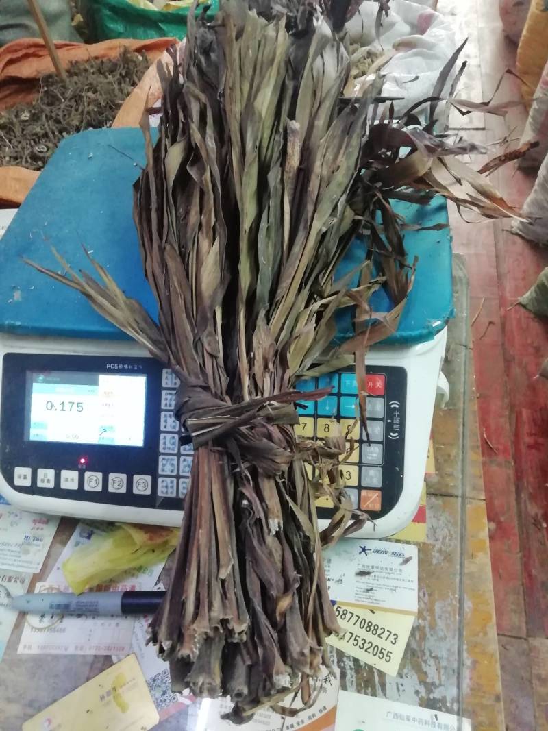 中药材红铁树叶/朱蕉叶/铁树叶/朱竹叶/苏铁叶/红叶铁树