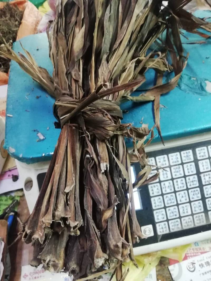 中药材红铁树叶/朱蕉叶/铁树叶/朱竹叶/苏铁叶/红叶铁树