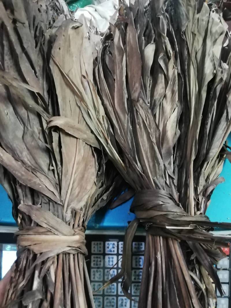 中药材红铁树叶/朱蕉叶/铁树叶/朱竹叶/苏铁叶/红叶铁树