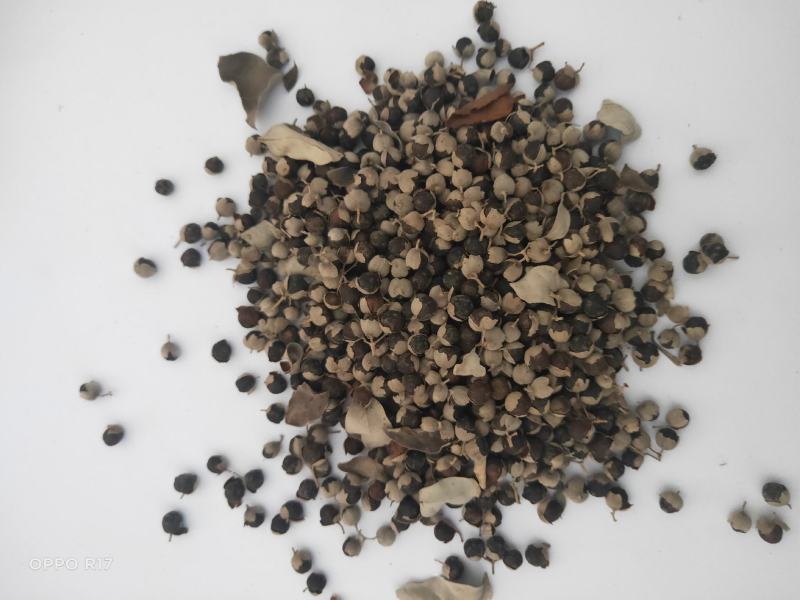 江西樟树单叶蔓荆子干货